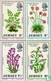 Nationale Wildblumen