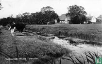 Valkenburg (Z.H.), Hoeve Torenvliet