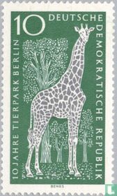 Girafe du Nord