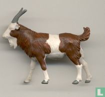 Bok