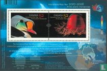 International Polar Year