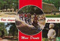 Vier dagen fietsen in mooi Drente
