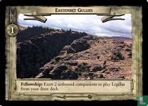 Eastemnet Gullies