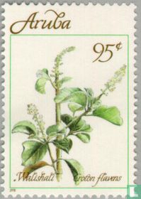 Les herbes médicinales