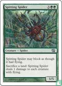 Spitting Spider