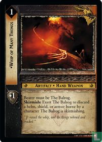 Whip of Many Thongs