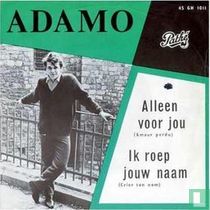 Alleen voor jou 