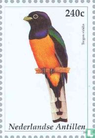 Vogels