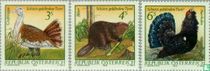 Dieren kopen