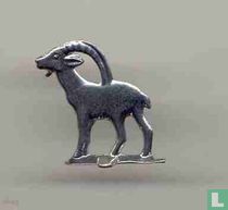 capricorn