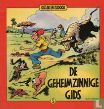 De geheimzinnige gids