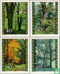Forêt  acheter