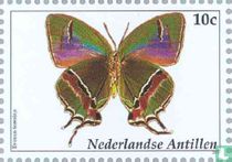 Vlinders