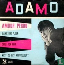 Amour perdu 