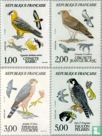 Rapaces