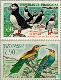 Birds