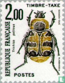 Insects for sale