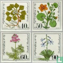 Plantes  acheter