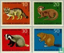 Wild animals