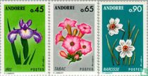 Flowers for sale
