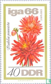 Gartenbauausstellung kaufen