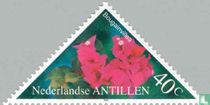 Fleurs acheter