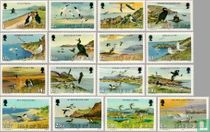 Oiseaux de mer acheter