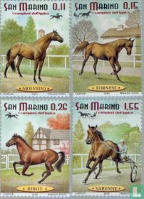 Chevaux de course 