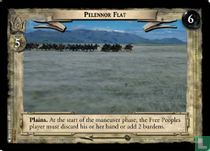 Pelennor Flat