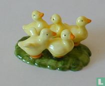 Duck Chicks