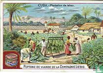 CUBA