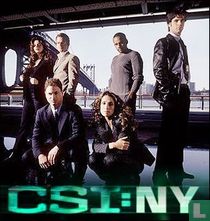 CSI: NY dvd / video / blu-ray catalogue