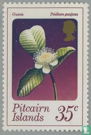 Flora
