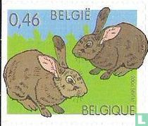 Boerderijdieren kopen