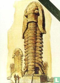 Monument to Trilobites