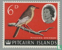 Navires et oiseaux