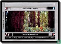 Endor: Ancient Forest kopen