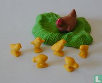 Kip met kuikens