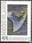 Hemiprestis Serra