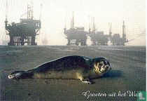 B040152 - Stichting Natuur en Milieu "Groeten uit het Wad"