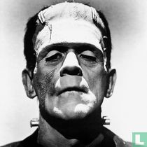 Frankenstein (Het monster van Frankenstein) dvd / video / blu-ray katalog