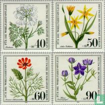 Endangered wild herbs for sale