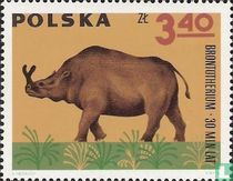 Animaux préhistoriques acheter