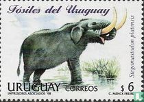 Faune préhistorique de l'Uruguay