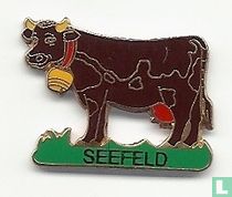Oostenrijk - Seefeld