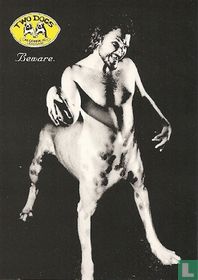 B001838 - Two Dogs 