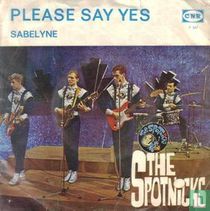 Please Say Yes 