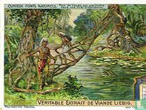 Eigenartige Naturbrücken
