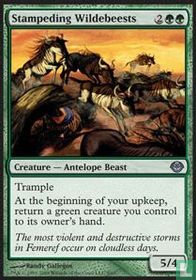 Stampeding Wildebeests