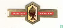 [Crucian carp] - Carassius carassius